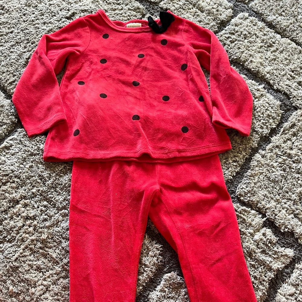 Winter set. Ladybug too with red matching bottoms.2T
